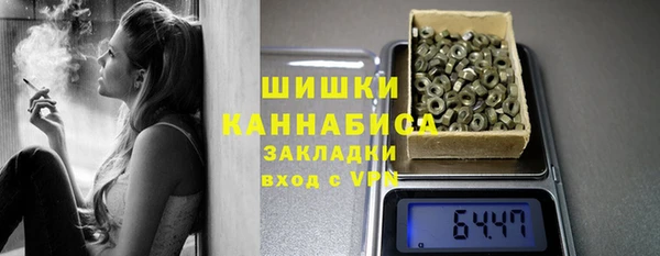 apvp Бородино