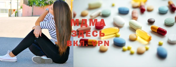 apvp Бородино