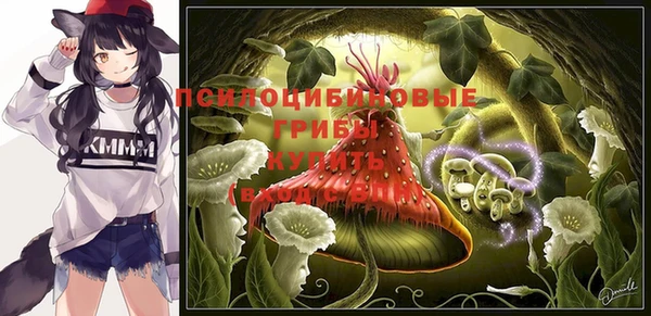 apvp Бородино