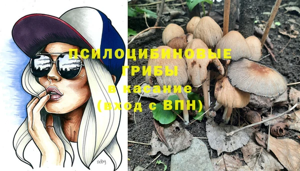 эйфоретик Богданович
