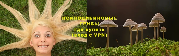 эйфоретик Богданович