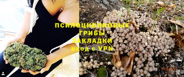 эйфоретик Богданович